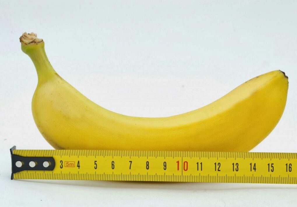 measuring the penis before enlarging the example of a banana